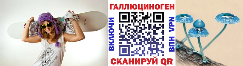 Купить закладки  Касимов  Псилоцибиновые грибы Psilocybine cubensis 